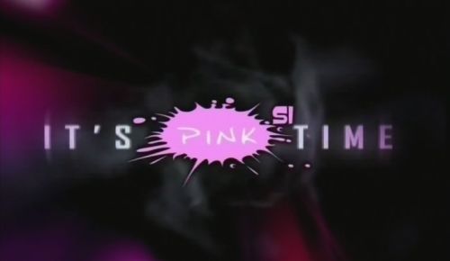The Inefficiency of Slovenian Regulatory Authorities in the Case of Pink Si
