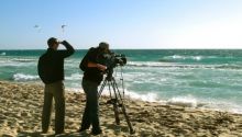 Need for independent model of media subsidies for domestic production