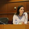 Media integrity research presented in the European Parliament