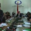 Flash report 2: Albania